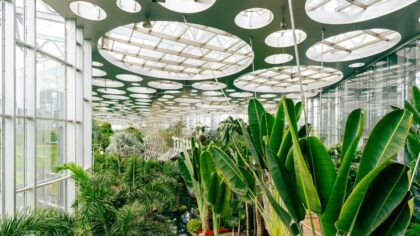How autonomous greenhouses could reshape the future of local food