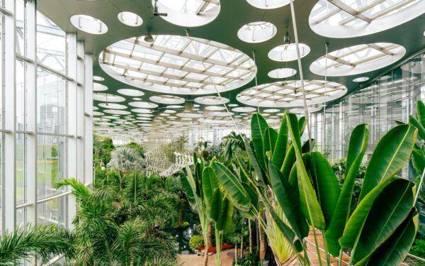How autonomous greenhouses could reshape the future of local food