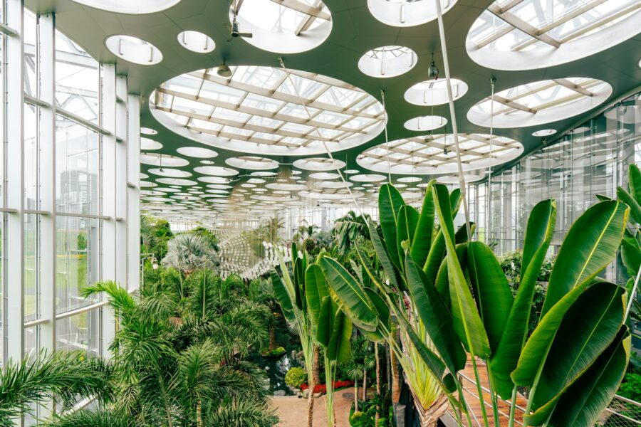 Modern greenhouse interior