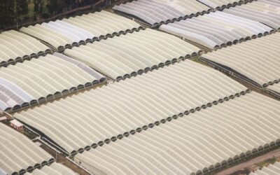 How modular farming is turning empty spaces into local food hubs