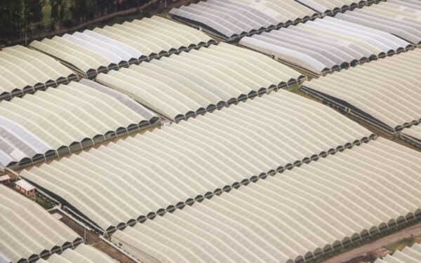 How modular farming is turning empty spaces into local food hubs