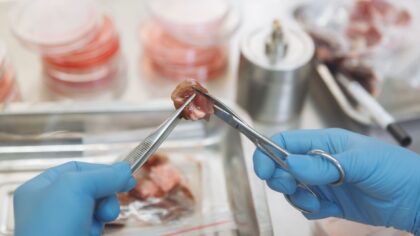 How self-healing materials could make products last longer and waste less