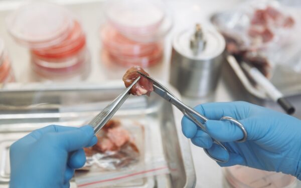 How self-healing materials could make products last longer and waste less