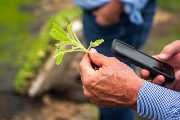 Farmer smartphone irrigation