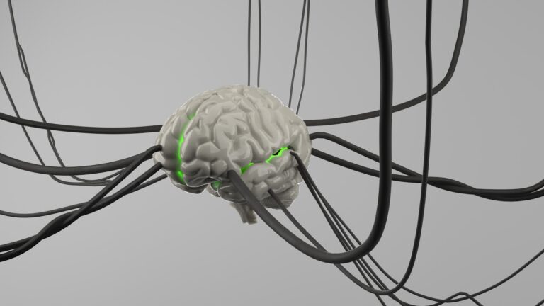 Neurotechnology eeg cap