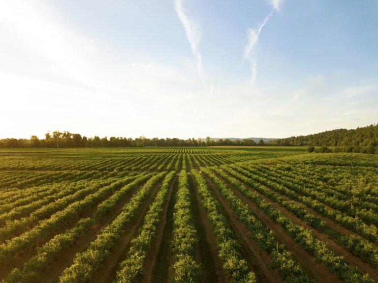 Agricultural soil moisture