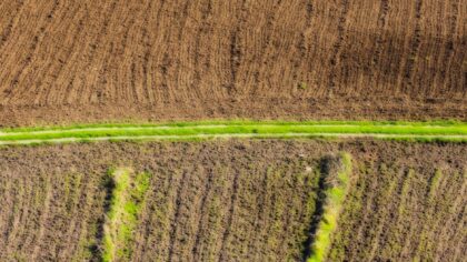 How nanorobots could support future agriculture from the soil up