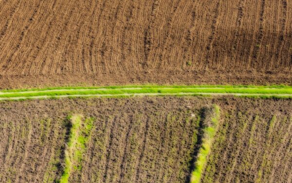 How nanorobots could support future agriculture from the soil up