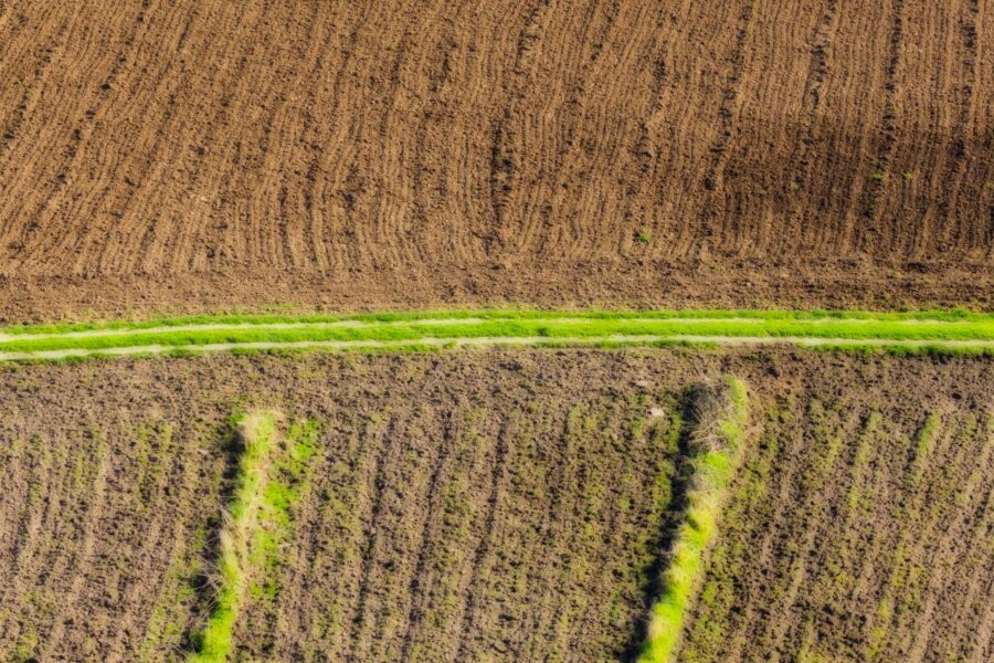 Nanotechnology agriculture field