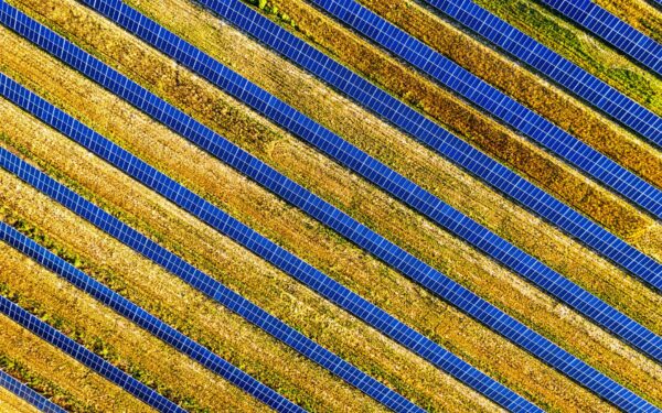 How shared solar is helping renters access clean energy without a rooftop
