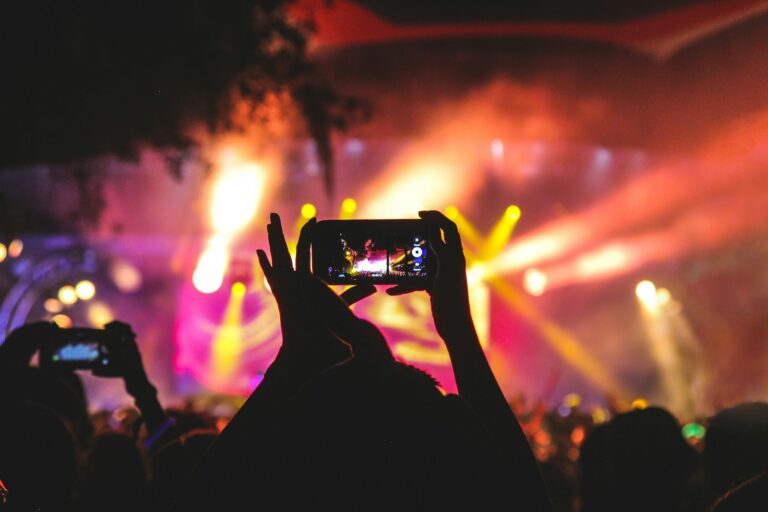 Virtual concert audience