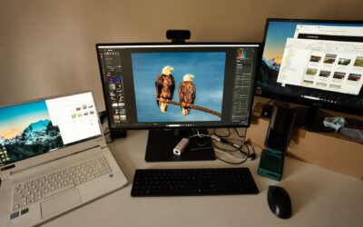 USB-C hubs vs docking stations for laptops: which is better for your desk setup